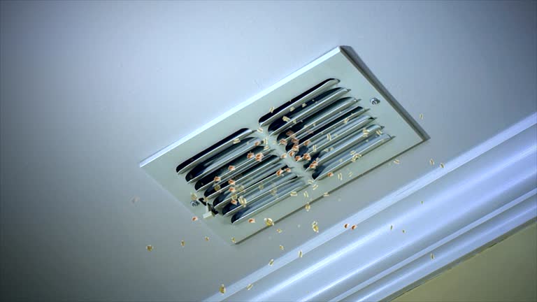 Best Affordable Duct Cleaning Services  in Bronson, MI